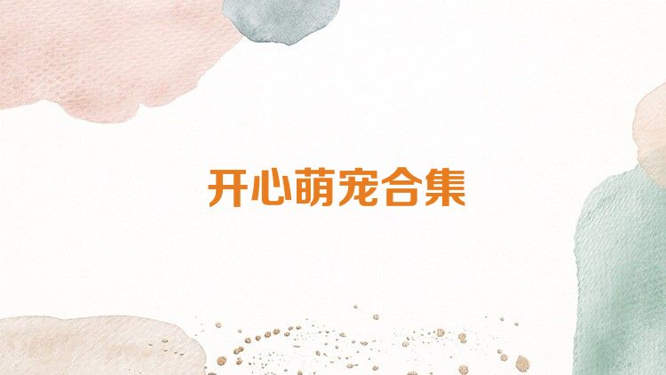 开心萌宠合集
