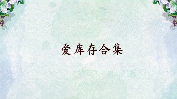 爱库存合集