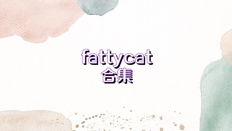 fattycat合集