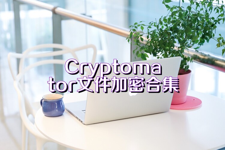 Cryptomator文件加密合集
