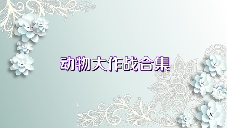 动物大作战合集