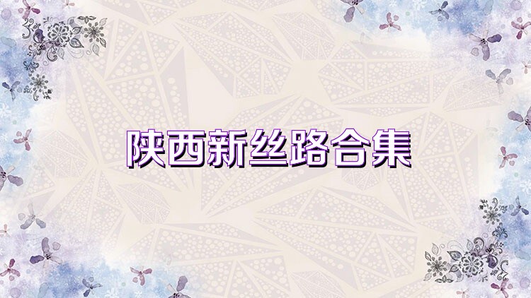 陕西新丝路合集