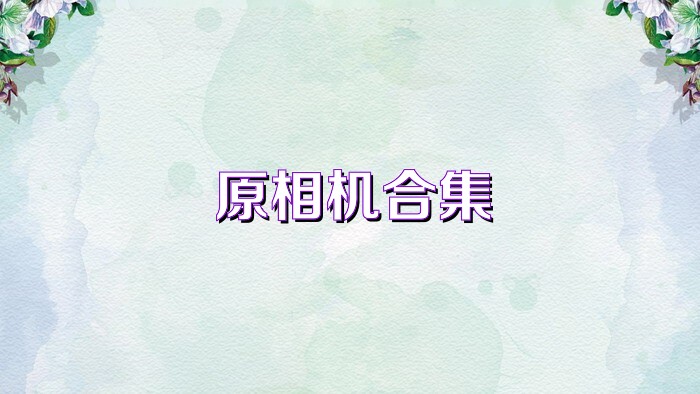原相机合集