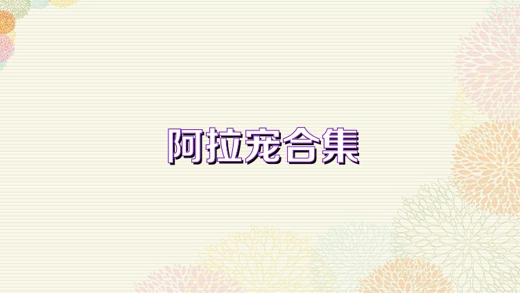 阿拉宠合集