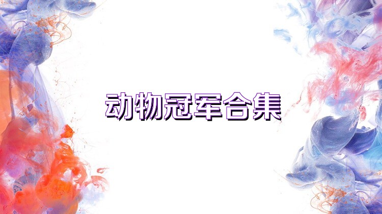 动物冠军合集