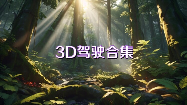 3D驾驶合集