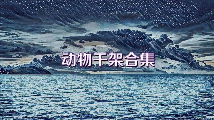 动物干架合集