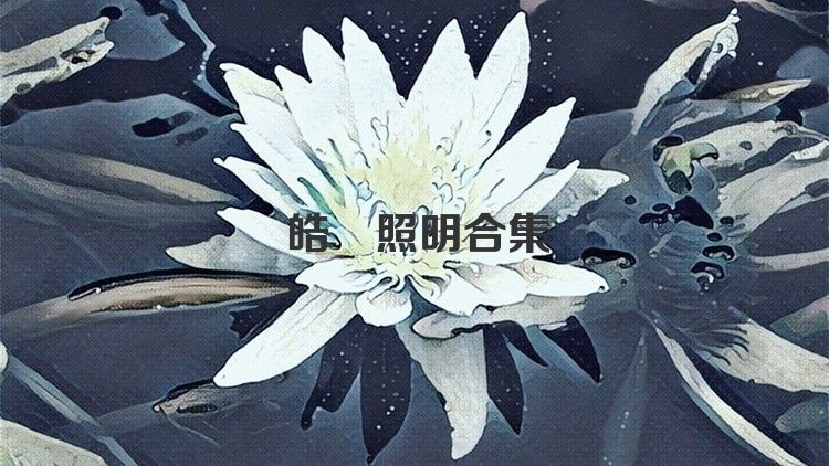 皓璟照明合集