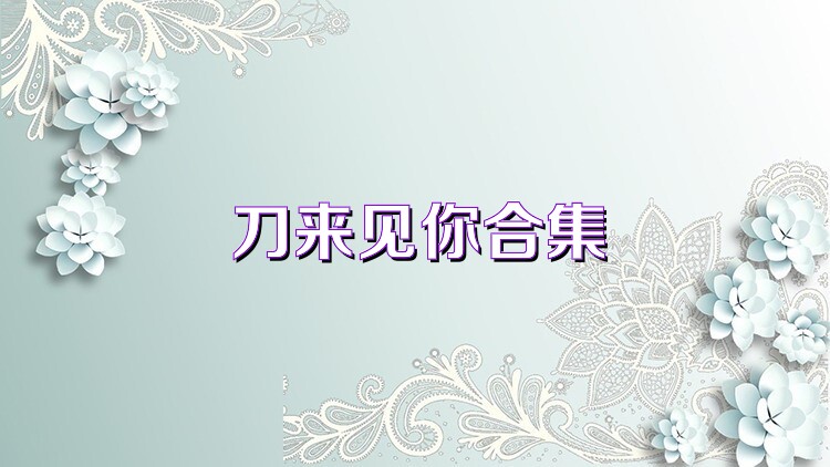 刀来见你合集