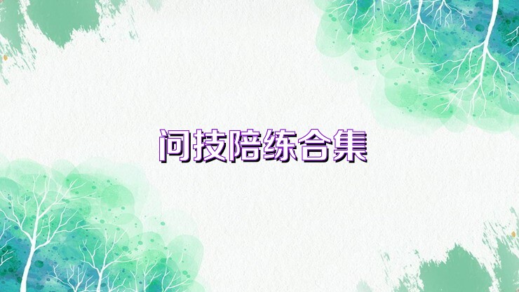 问技陪练合集