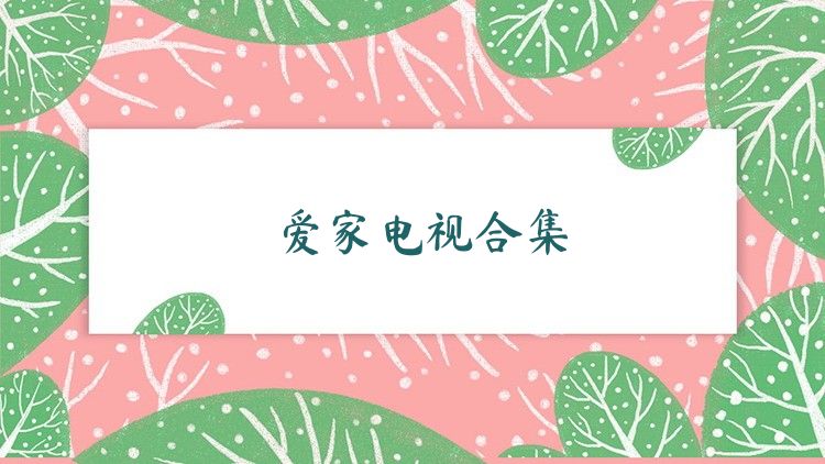 爱家电视合集