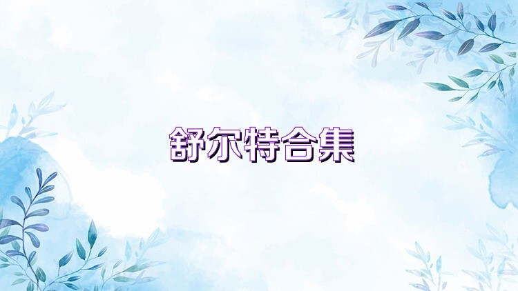 舒尔特合集
