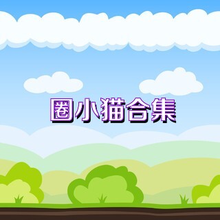 圈小猫合集
