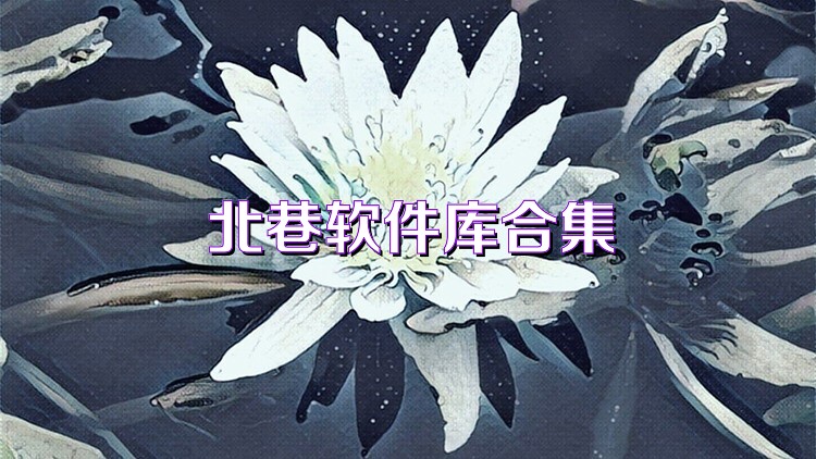 北巷软件库合集