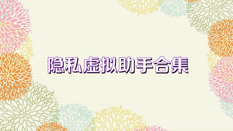 隐私虚拟助手合集