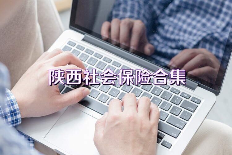 陕西社会保险合集