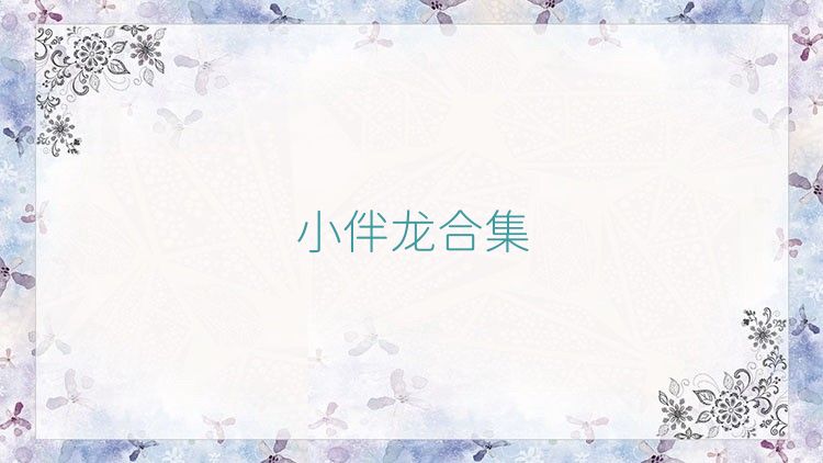 小伴龙合集