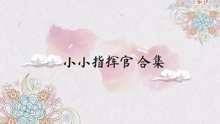 小小指挥官 合集