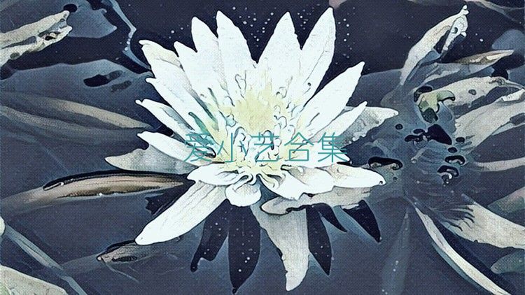 爱小艺合集