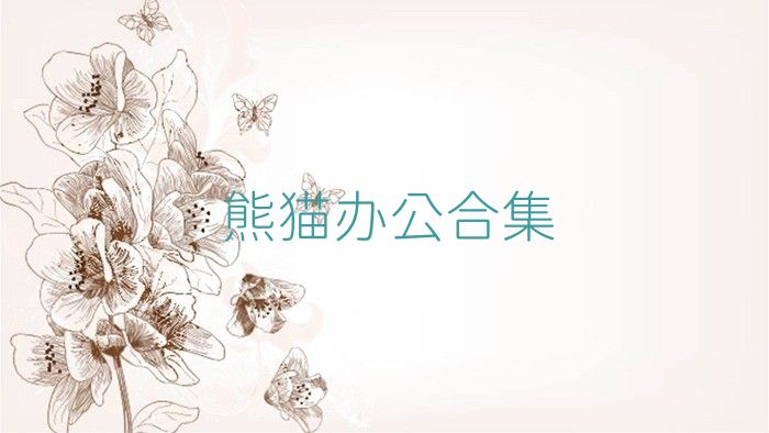 熊猫办公合集