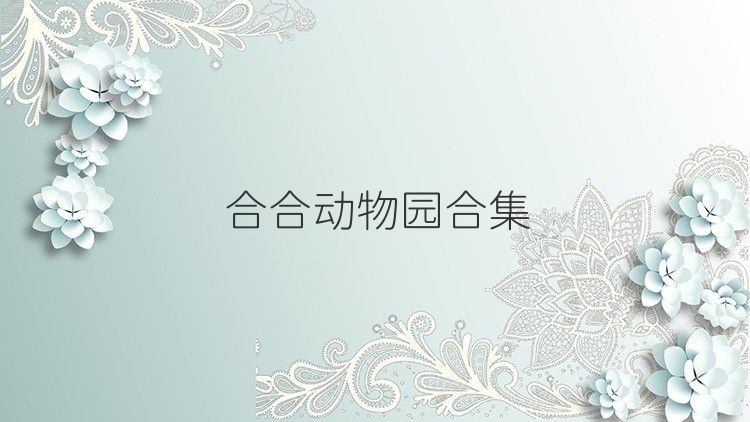 合合动物园合集