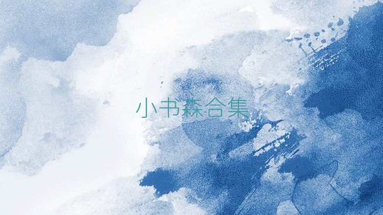 小书森合集