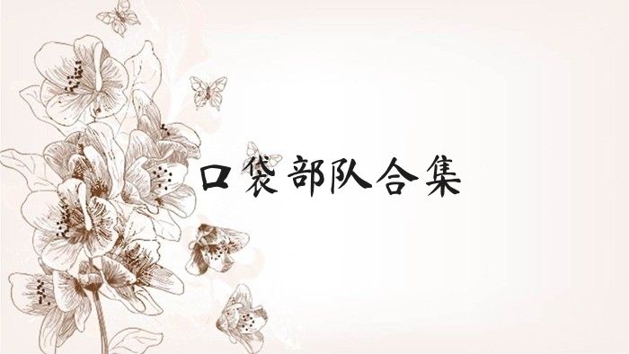 口袋部队合集