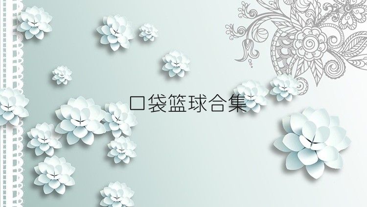 口袋篮球合集