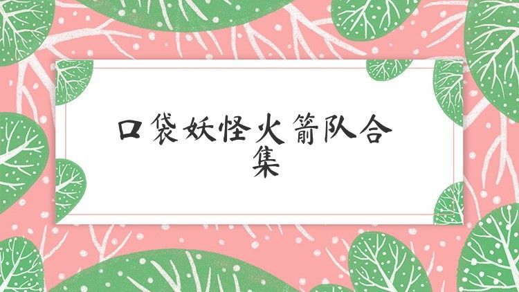 口袋妖怪火箭队合集