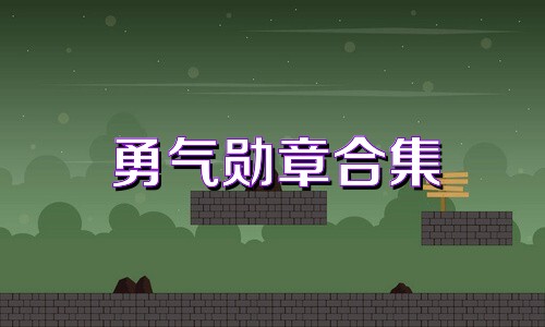 勇气勋章合集