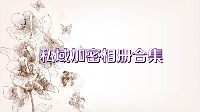 私域加密相册合集