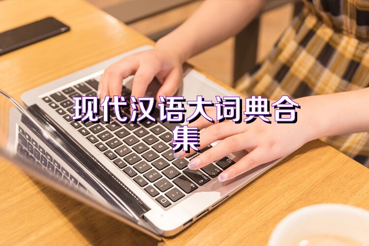 现代汉语大词典合集