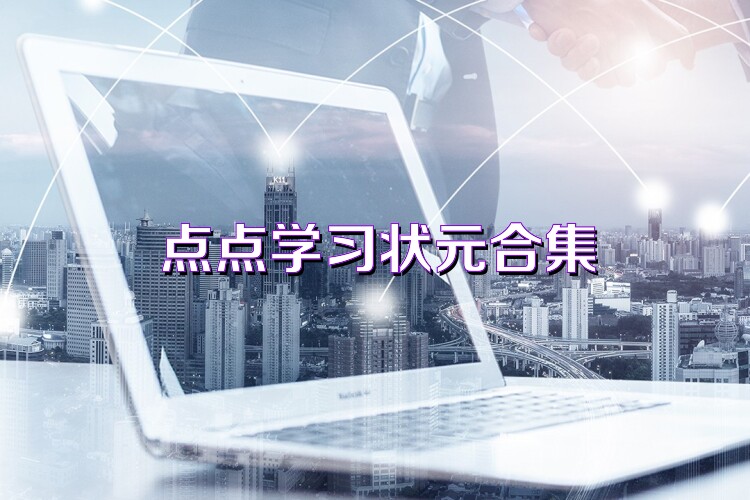 点点学习状元合集