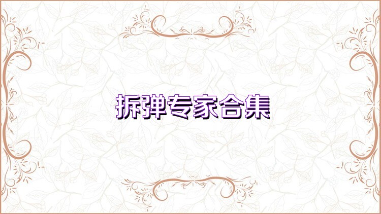 拆弹专家合集