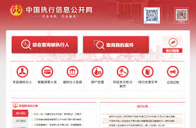 信息查询公开网官网