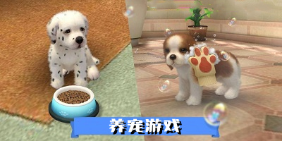 养宠游戏