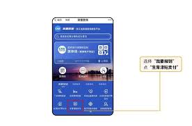 浙里办app如何申请生育津贴