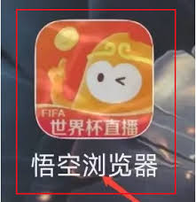 悟空浏览器如何查看隐私